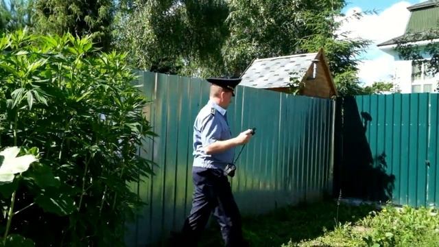 «Письма счастья» от инспекторов Госадмтехнадзора смотреть онлайн