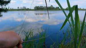 РЫБАЛКА НА ЭКРАНЫ НА ОЗЕРЕ. Есть ли тут рыба?