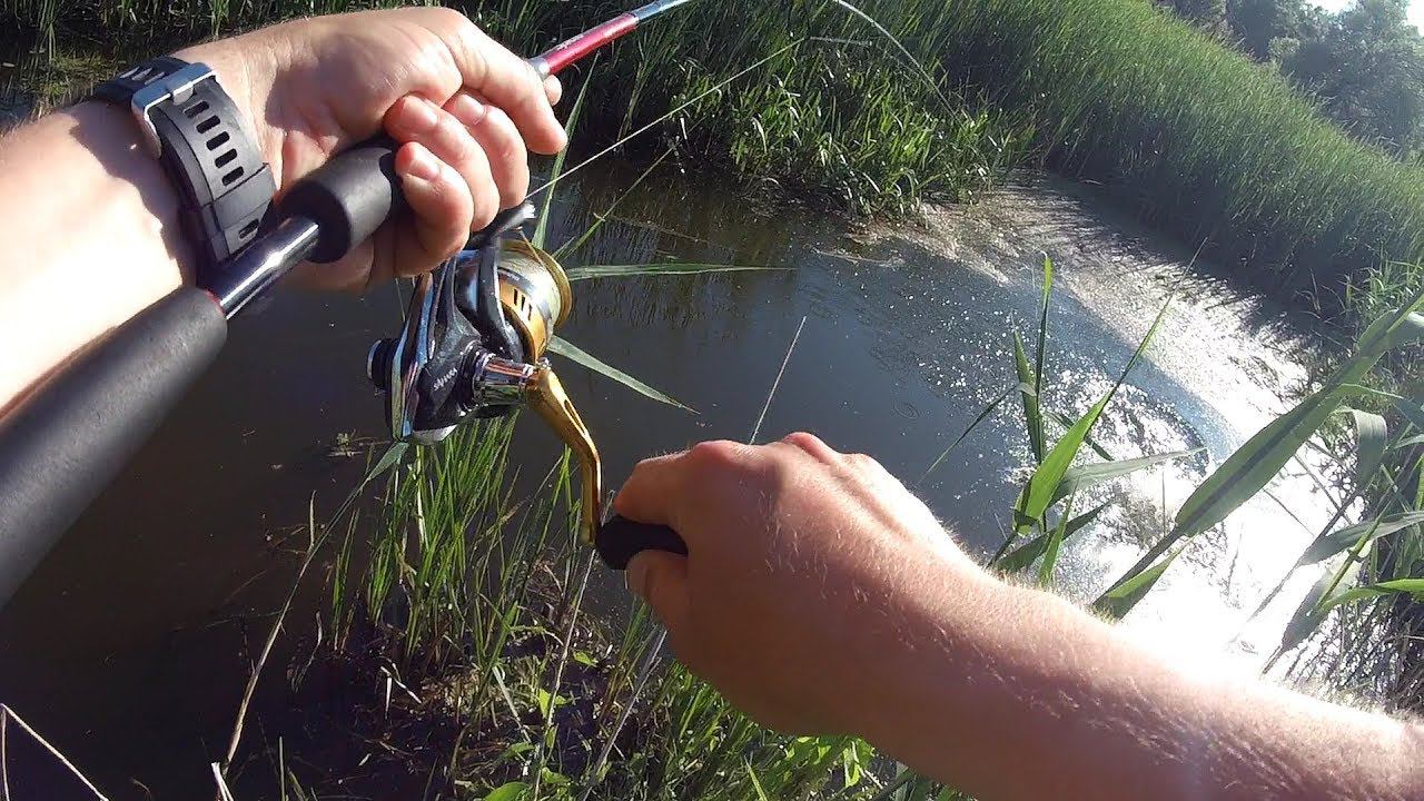 Рыбалка в ручье на спиннинг. Неожиданный гость меня посетил