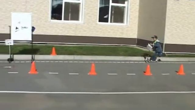 квест-игра зеленый огонек смотреть онлайн