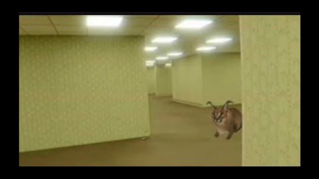 Raise A Floppa Music 🎵 смотреть онлайн