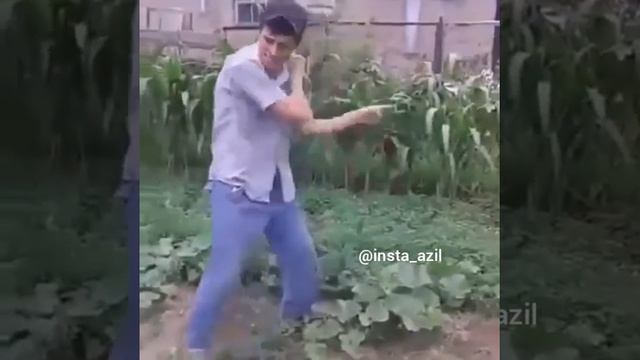 Баклажан чёрны смотреть онлайн