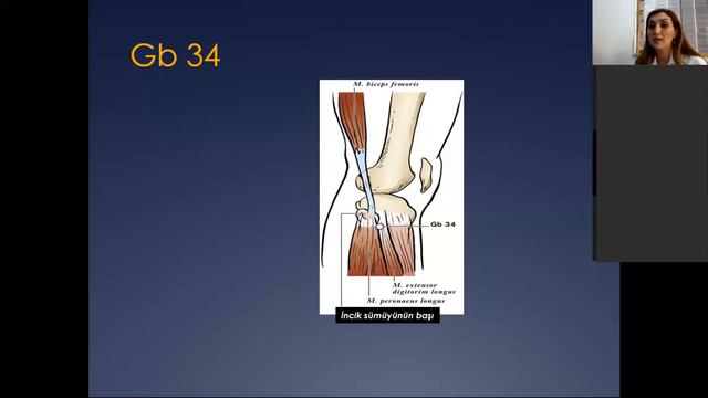 Mühazirə 12. Dayaq-hərəkət sistemi xəstəliklərinin müalicəsində İnteqrativ Təbabətin imkanları смотреть онлайн