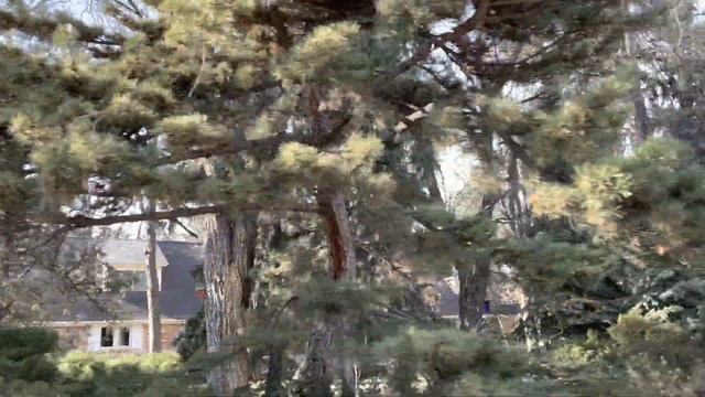 Колорадкая деревня прямо рядом с Городом Denver, Cherry Hills Village, Colorado. смотреть онлайн