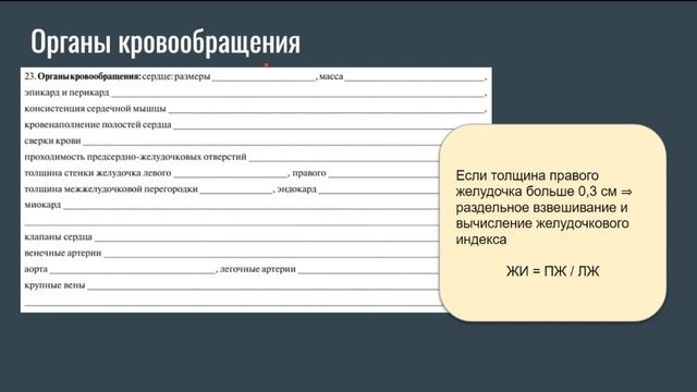 Протокол патологоанатомического вскрытия | Секционный курс смотреть онлайн