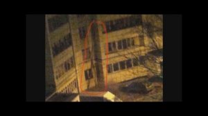 История на ночь - Палочник