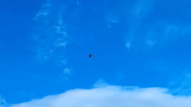 Модель самолета Pitts Python 980 для Владимира / ALNADO смотреть онлайн
