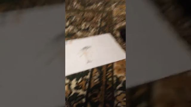 Моё слияние 😎☺ смотреть онлайн