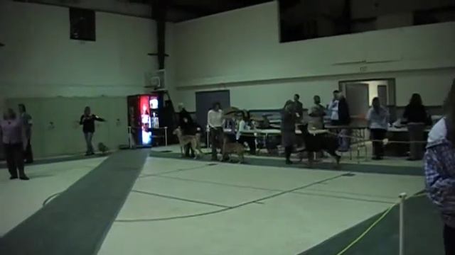 Doberman Rush - Best in Show Ring смотреть онлайн