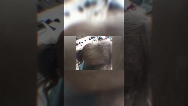 Что Будет Если не Мыть Голову Целый Год?!? #shorts #волосы #парикмахер