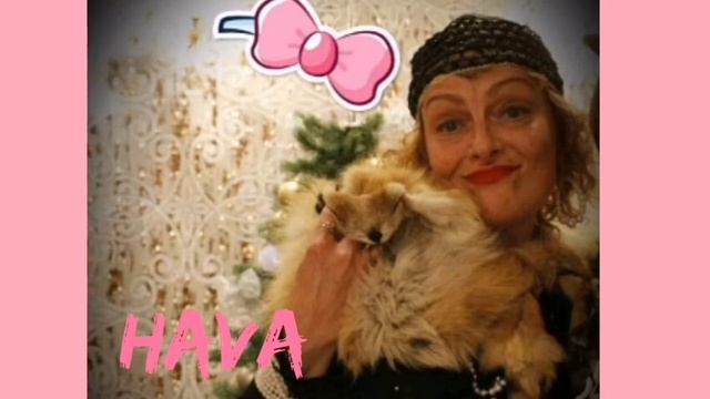 А- Еврейский рок-н-ролл смотреть онлайн