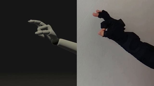 Rokoko Smartgloves Review