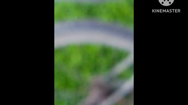 мой друг Женя расказал мне историю про то как он чуть не упал в речку жёстко 😱 смотреть онлайн