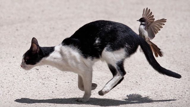 Почта России в 2020 году ПРОРЫВ или ПРОВАЛ? (как почта стала Акционерным Обществом) смотреть онлайн