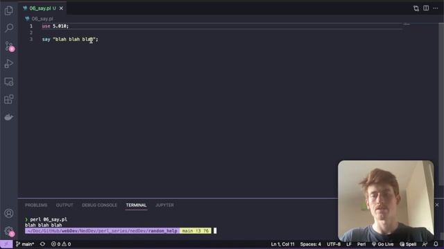 How to use say in perl // say function смотреть онлайн