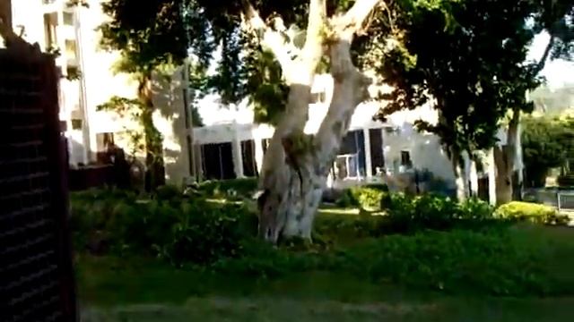 Вид с веранды.AVI смотреть онлайн