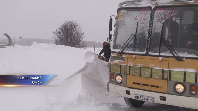 Жителям кузбасского посёлка не даёт покоя опасный зверь смотреть онлайн