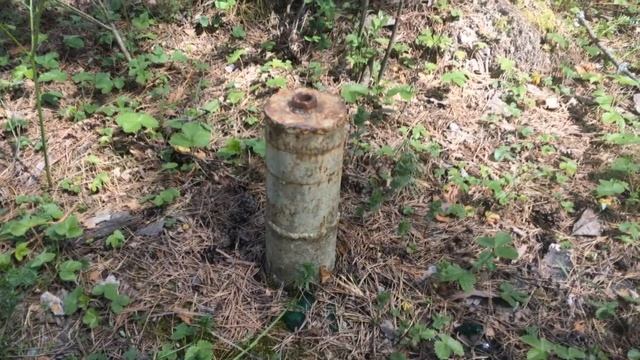 Свалка ТБО в Карачевском районе смотреть онлайн