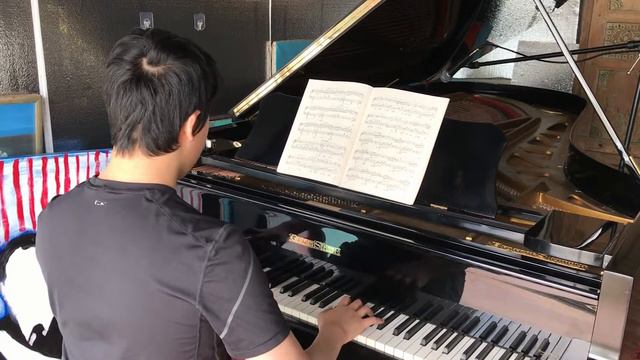 Piano Demo Grotrian Steinweg Concert Grand for sale смотреть онлайн