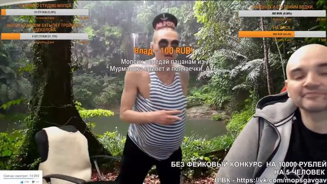 МОПС ПУСКАЕТ СЛЮНИ | КОТ НАСРАЛ НА МОПСА смотреть онлайн