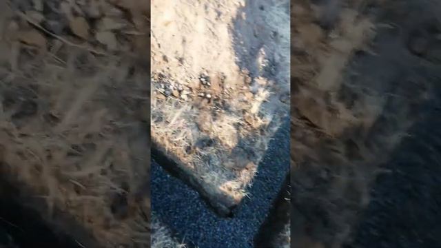 начало строительства дома капаем фундамент!