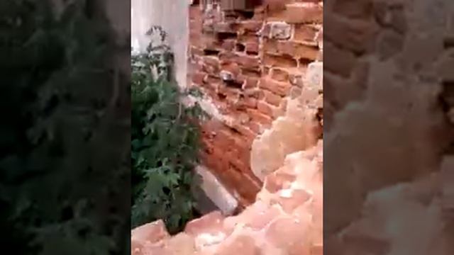 Борисовский замок. смотреть онлайн