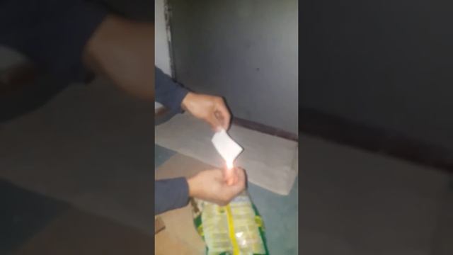 Кэмми жайма