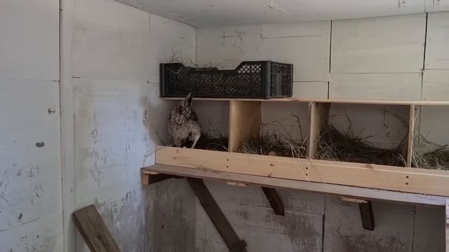 Ейск ? Ейская коса. Пляж. Июнь 2022. Посылка от интернет- магазина 