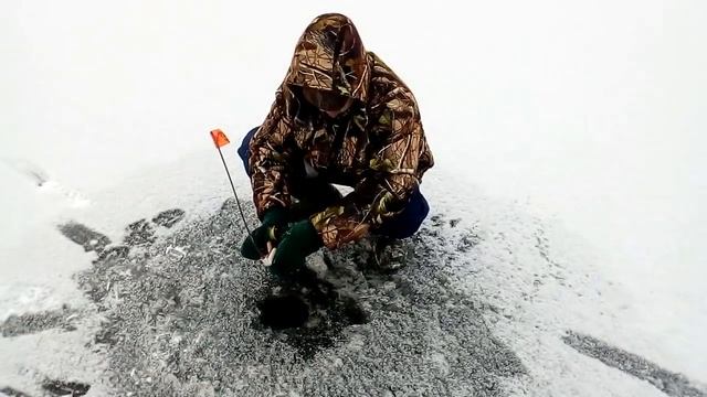 РЫБАЛКА ПО ПЕРВОМУ ЛЬДУ./ЛОВЛЯ НА ЖЕРЛИЦЫ./ ЗИМНЯЯ РЫБАЛКА. смотреть онлайн