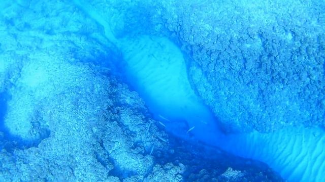 Медитативное видео о море. HD 1080P 60fps. смотреть онлайн