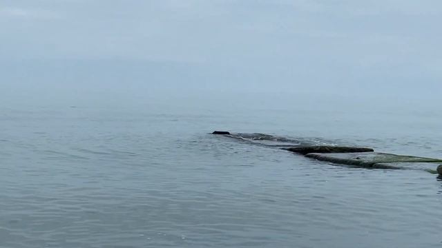 22.05.2023. Погода в Сочи в мае.Смотри на Чёрное море каждый день. смотреть онлайн