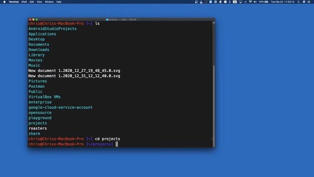 Bash From Beginner to Expert - Lesson 4 - pwd, ls, cd, open, clear, cat смотреть онлайн