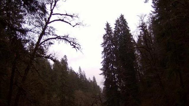 Darkened Nocturn Slaughtercult-Underneath Stars Of The East смотреть онлайн