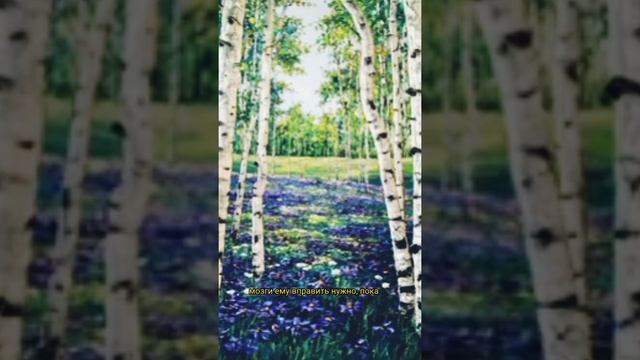 Поучительная сказка для детей. "Василёк" смотреть онлайн