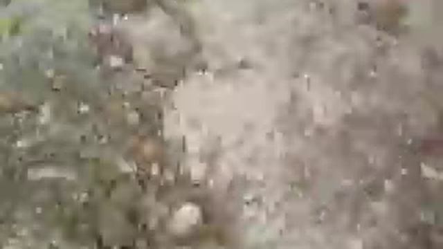 Строим дом на сваях смотреть онлайн