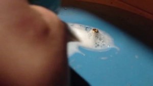 Как определить, что ниппель гидроаккумулятора травит воздух?