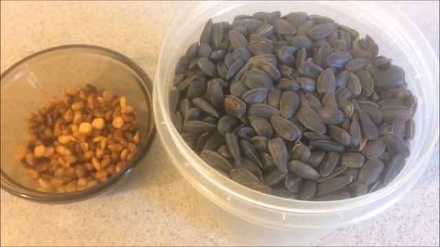 96. Соевые и гороховые орешки. Прогулка по парку, кормим белок! смотреть онлайн