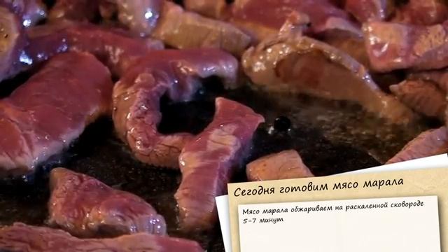 Утренний канал: готовим мясо марал смотреть онлайн