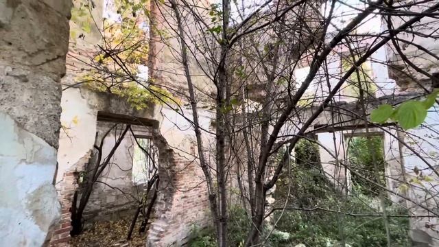 Самое ЖУТКОЕ место в Севастополе-УСАДЬБА КОКАРАКИ! Камень ЖЕРТВОПРИНОШЕНИЯ и огромная КУПЕЛЬ в ЛЕСУ смотреть онлайн