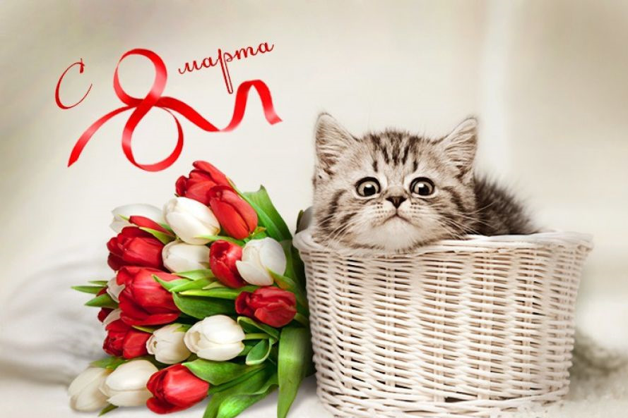 Яркое Поздравления с 8 марта! Музыкальная открытка с 8 марта!