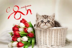 Яркое Поздравления с 8 марта! Музыкальная открытка с 8 марта!