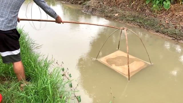 Unique Fish Trap Technique! Prawn Fish Trap By Using Bamboo With Net | River Fish Trap System