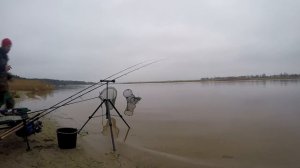 Трофейный лещ в ноябре на #фидер ловим на реке Лиелупе.