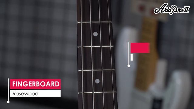 ARIA PRO II STB-JB/TT #ariaproii #ariaisback #sounddemo #gitarbass #jazzbass #classicjazz смотреть онлайн