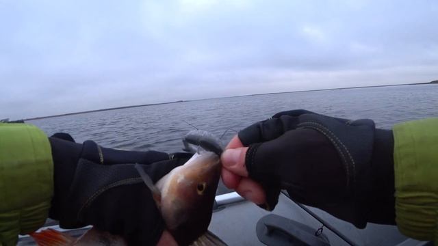 ОТРЫВ ПО ОКУНЮ, СНОВА РЕКОРДЫ, ПРОБИЛИ ЛОДКУ, ЧЕРПАЛИ, НО ВСЕ РАВНО ЛОВИЛИ смотреть онлайн