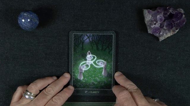 Earth Wisdom Oracle Deck Walkthough смотреть онлайн