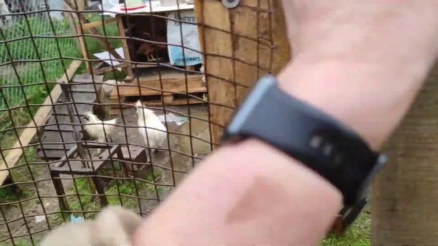 Под дождём на даче. Что делаем? Этот закон подлости. смотреть онлайн