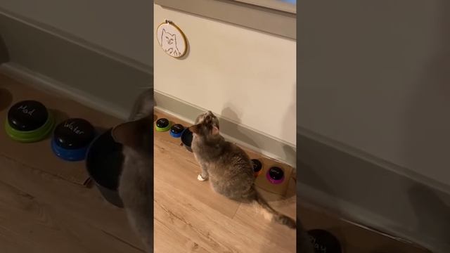No Outside! смотреть онлайн
