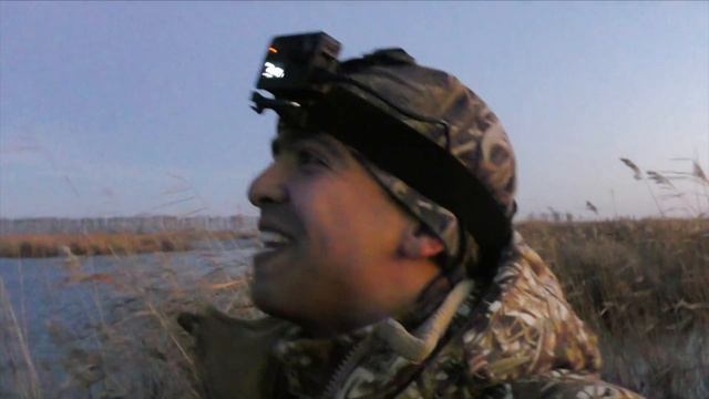 Лучшая охота на крякаша в моей жизни! От манка утки сходили с ума