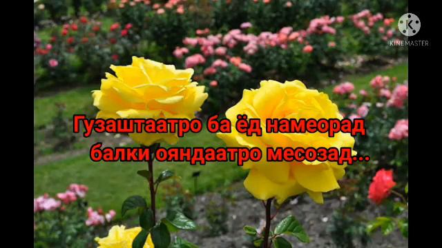 Шеърҳои ошиқи смотреть онлайн